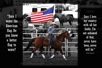 rodeo flag print quote wm