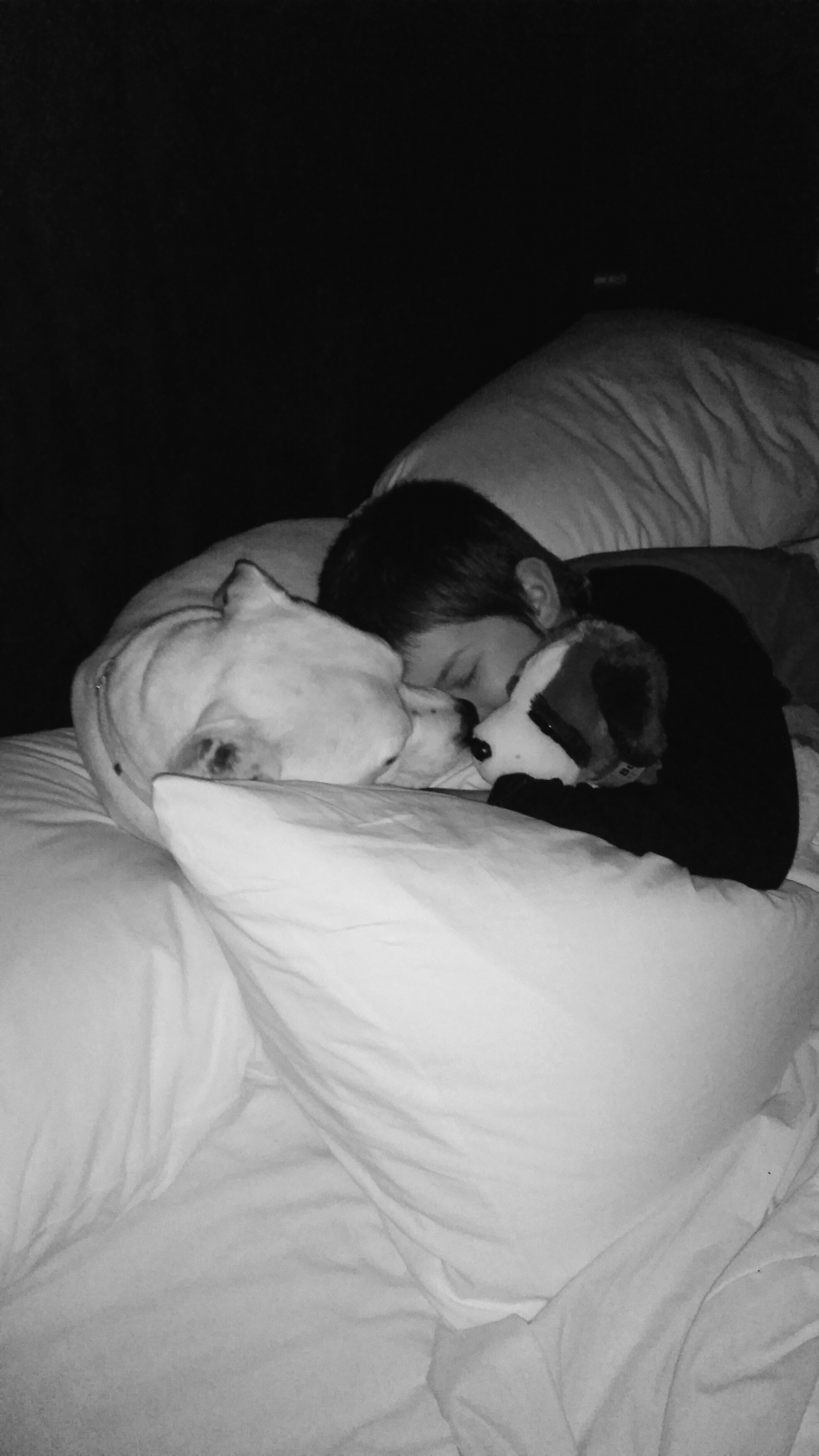 Megtography – “Pillows & Puppies”